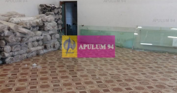 Vila zona Fundeni-Dobroiesti