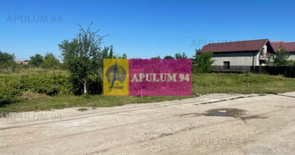 Teren Clinceni- Putu Olteni- Ortansei.