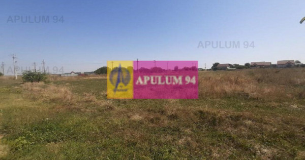 Teren pentru investitie langa Bucuresti