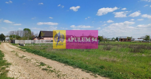 Loc de casă 520 mp, în Săbăreni, lângă București