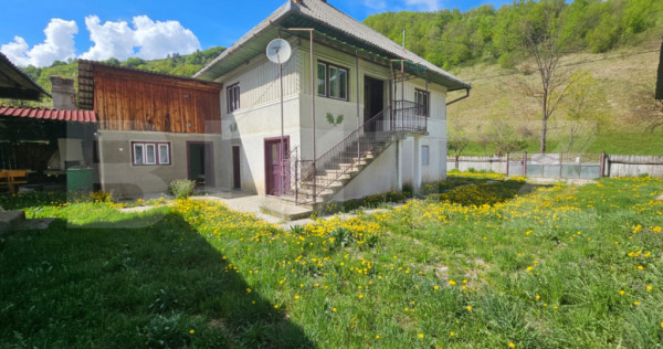 Casa individuala cu 3 camere, 150 mp utili, 2000 mp teren, G