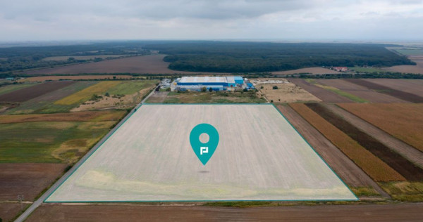 Teren extravilan 5 hectare ( zonă industrială ) Șag