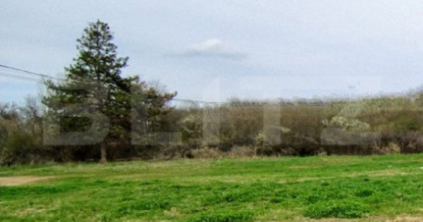 Teren intravilan de vanzare, 1.243 mp, platou Breasta