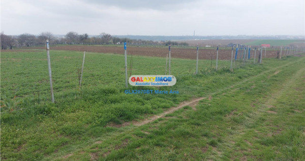 Teren 3600 mp., Manastirea Doamnei!