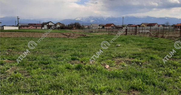 Eren intravilan 1400 mp de pe Valea Avrigului