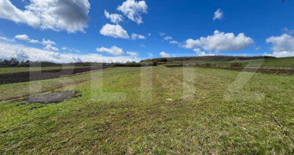 Teren extravilan de v&acirc;nzare &ndash; 25 ari, panorama superbă,