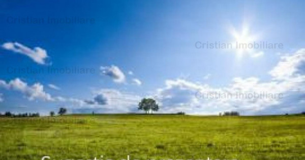 Teren 500 mp zona Lacu Sarat 41m front stradal