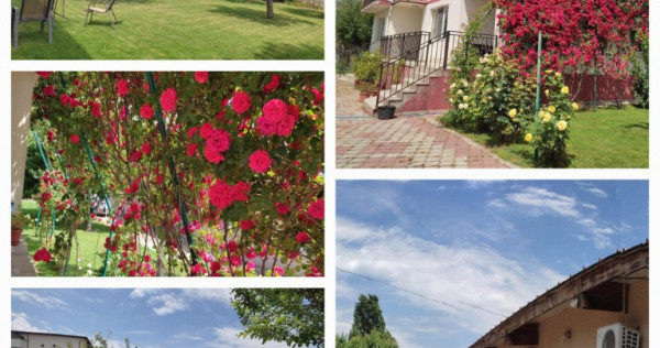 Vila 546 mp, teren 2000 mp si spatii de afacere, Magurele, Ilfov