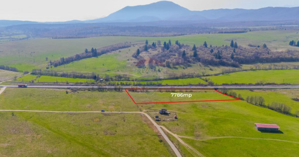 Teren 7786 mp/Curți construcții/Benzinărie