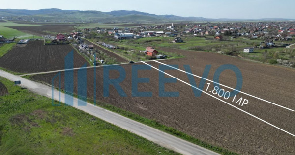 Teren de vânzare, Com. Nicolae Bălcescu, Jud. Bacău