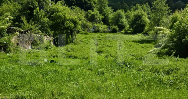 Teren intravilan de vanzare, 1609 mp, zona Petrești