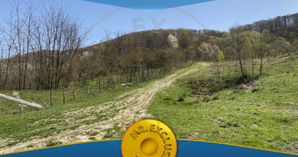 Teren 13.000 mp zona de deal - Aninoasa AG