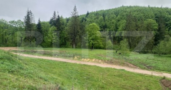 Teren intravilan 20.000 mp, zona Soarecului, Marginea