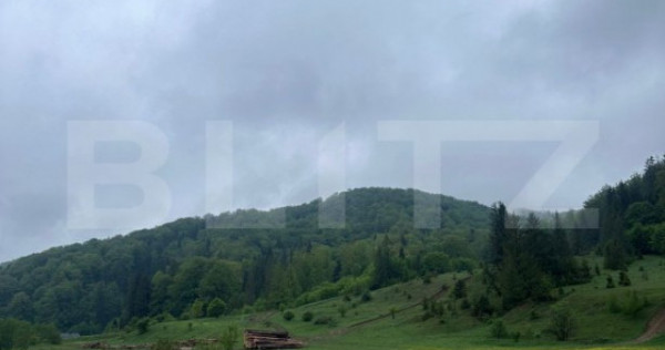 Teren intravilan 20.000 mp, zona Soarecului, Marginea