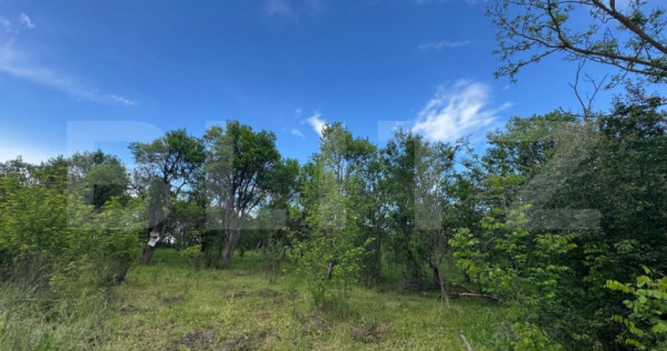 Teren extravilan de vanzare, 6000 mp, zona Hateg