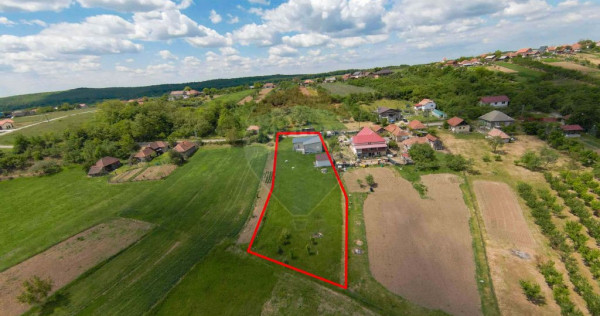 Casă cu 3 camere, anexă și 2042 mp teren de vânzare, ...