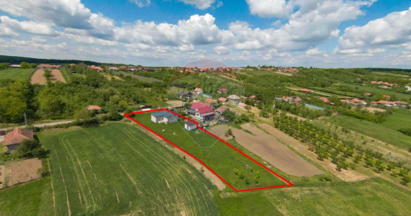 Casă cu 3 camere, anexă și 2042 mp teren de v&acirc;nzare, ...
