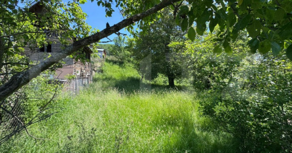 Visează-ți casa de vacanță aici – Teren în Bezdead de