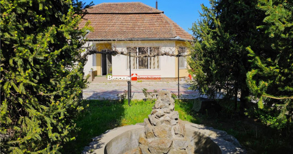 PROPRIETATE CU AFACERE FUNCTIONALA DE - PETREU, LANGA MARGH