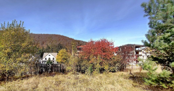 Teren Intravilan Bunloc