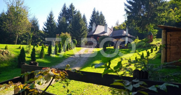 Pensiune de lux de vanzare in inima padurii langa Sibiu