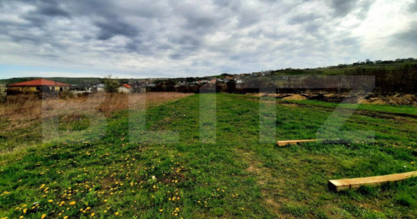 Teren intravilan 1000mp,cu Puz aprobat prin HCL,in Borhanci