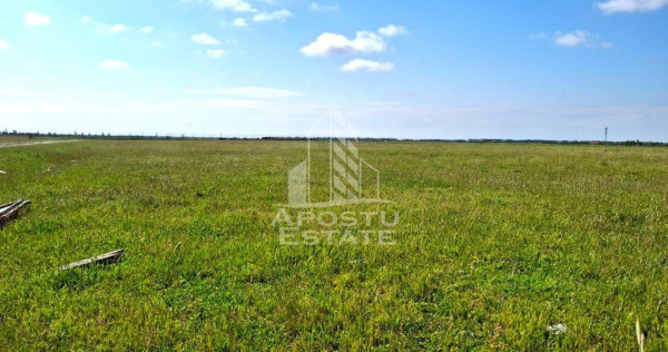 Teren Intravilan cu PUZ, ideala pentru Dezvoltatori