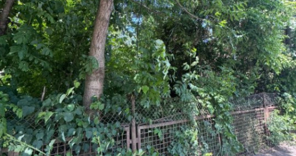 Teren constructii, 4200mp, Radauti