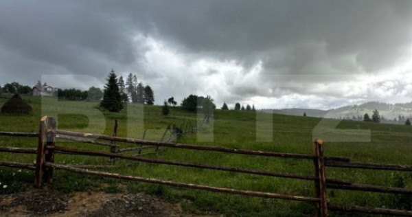 Teren de vânzare intravilan în Poiana Stampei, 2 hectare