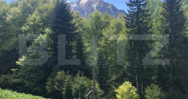 De vanzare, teren intravilan 2100mp, Predeal