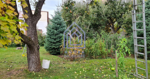 Teren central Suceava