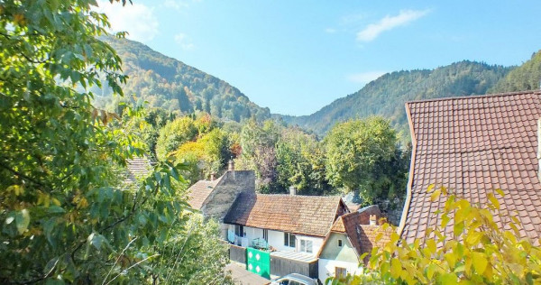 Teren Intravilan - Pozitionare Centrala