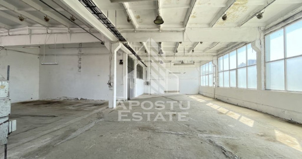 Hala depozitare sau productie, 470 mp, Zona Buziasului