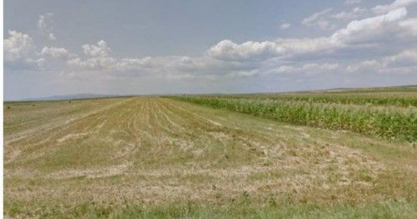 Teren extravilan cota parte 1/3 Cernatesti , ID: R2586146