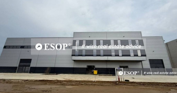 Hala de vanzare, zona Mogosoaia, 1500mp, ID 15424,