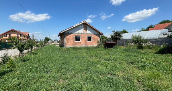 RECO Casa la rosu, la iesire din Les, langa padure