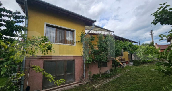Casa individuala cu 3 camere, 371 mp,zona Centru
