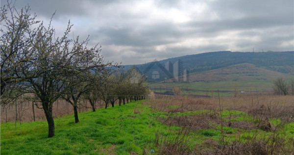 Aroneanu - Dorobant TEREN 46000mp PUZ realizat 59 de case la