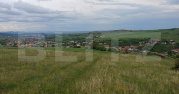 Teren extravilan 1249 mp in Copaceni! Oportunitate investiti