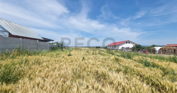 RECO teren intravilan la 15 minute de Metro Oradea