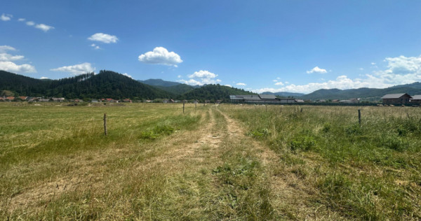 Teren Intravilan Rasnov 7.500 mp