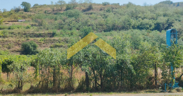 Teren intravilan pe deal Paulis, Arad