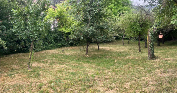 TEREN 1600MP CU CASA 5 CAMERE, SCHEII BRASOVULUI