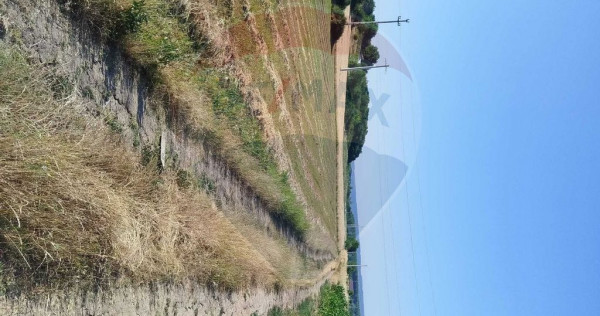 Teren 2,000mp Bradesti / None