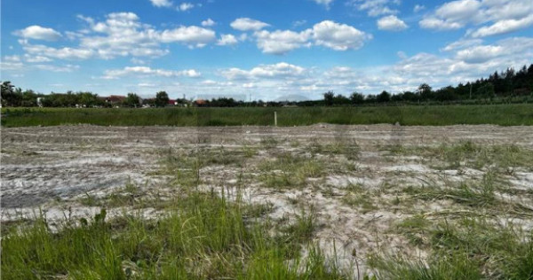 RECO Teren Intravilan, Alparea, Comuna Osorhei