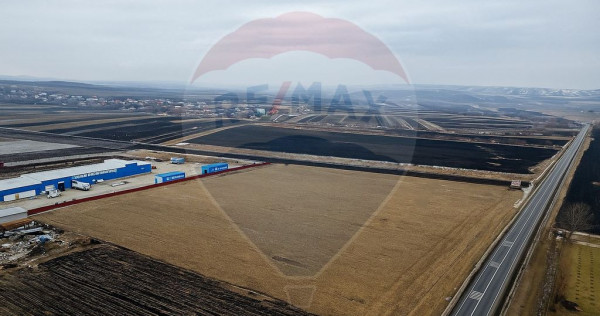 Teren 39,244mp Ilisesti / Strada Principala