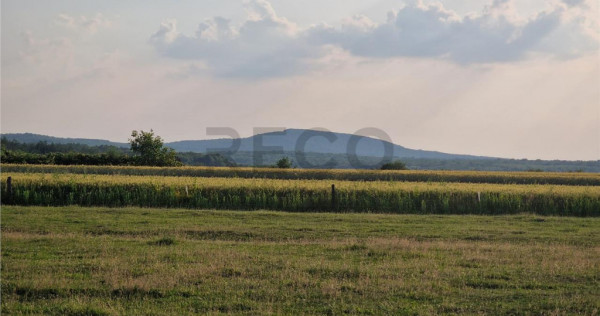 RECO parcele in Felcheriu