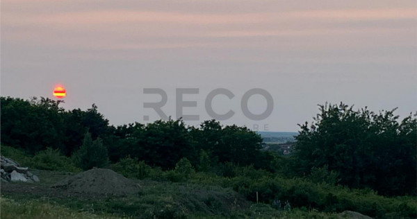 RECO Teren in Paleu 903 mp, acces rapid din Saldabagiu de Mu