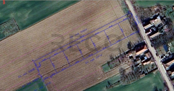 RECO parcele teren Sannicolaul Roman