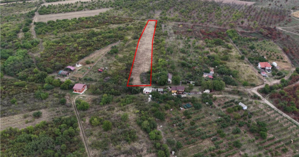 RECO Teren Episcopia